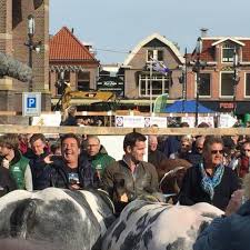 gerard joling schagen