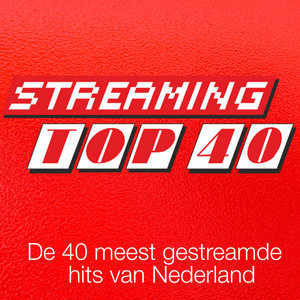 nederlands muziek top 40