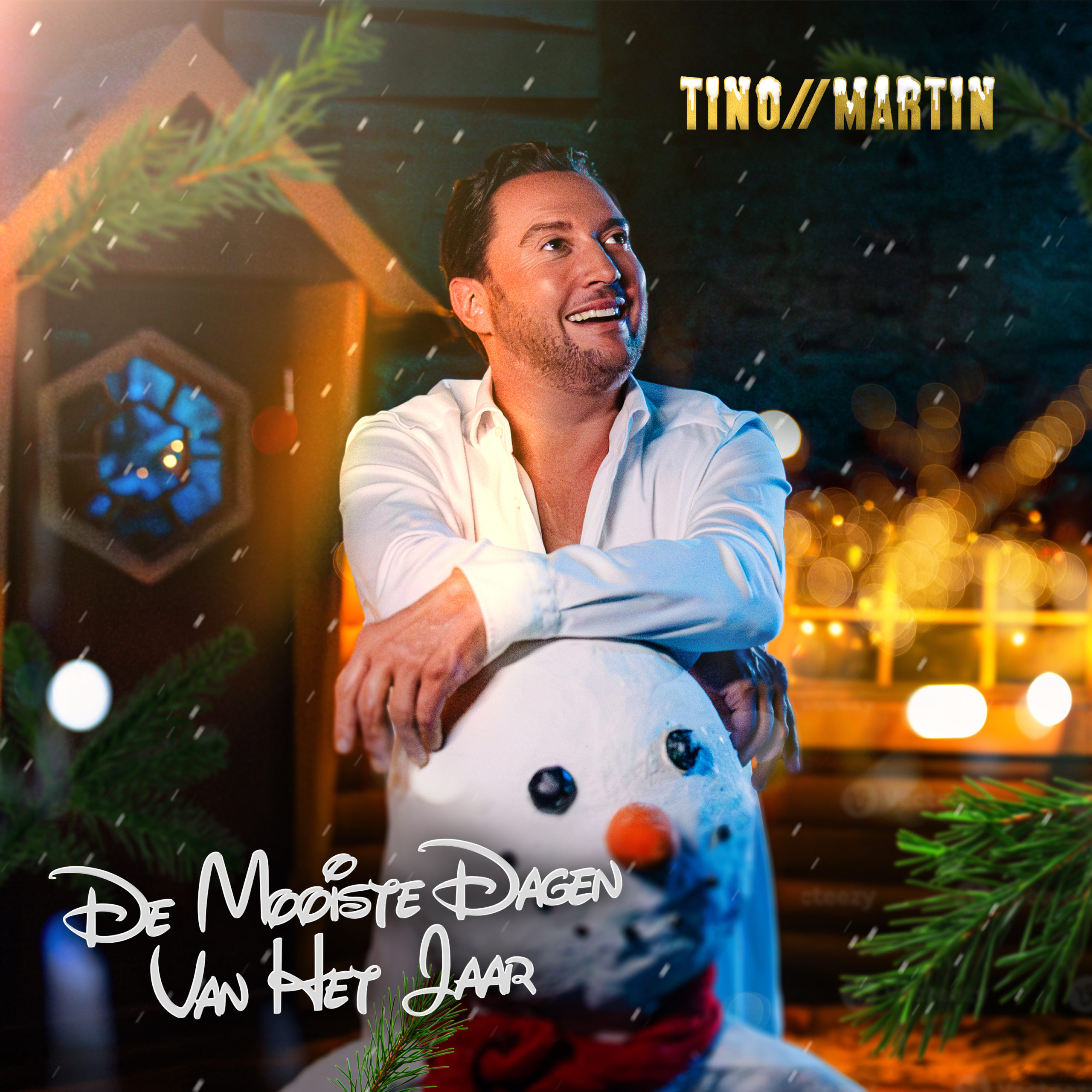 nederlandse zanger tino martin